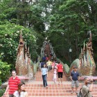 IMG_0935