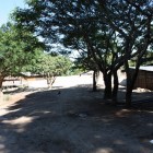 IMG_0964