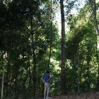 IMG_0975